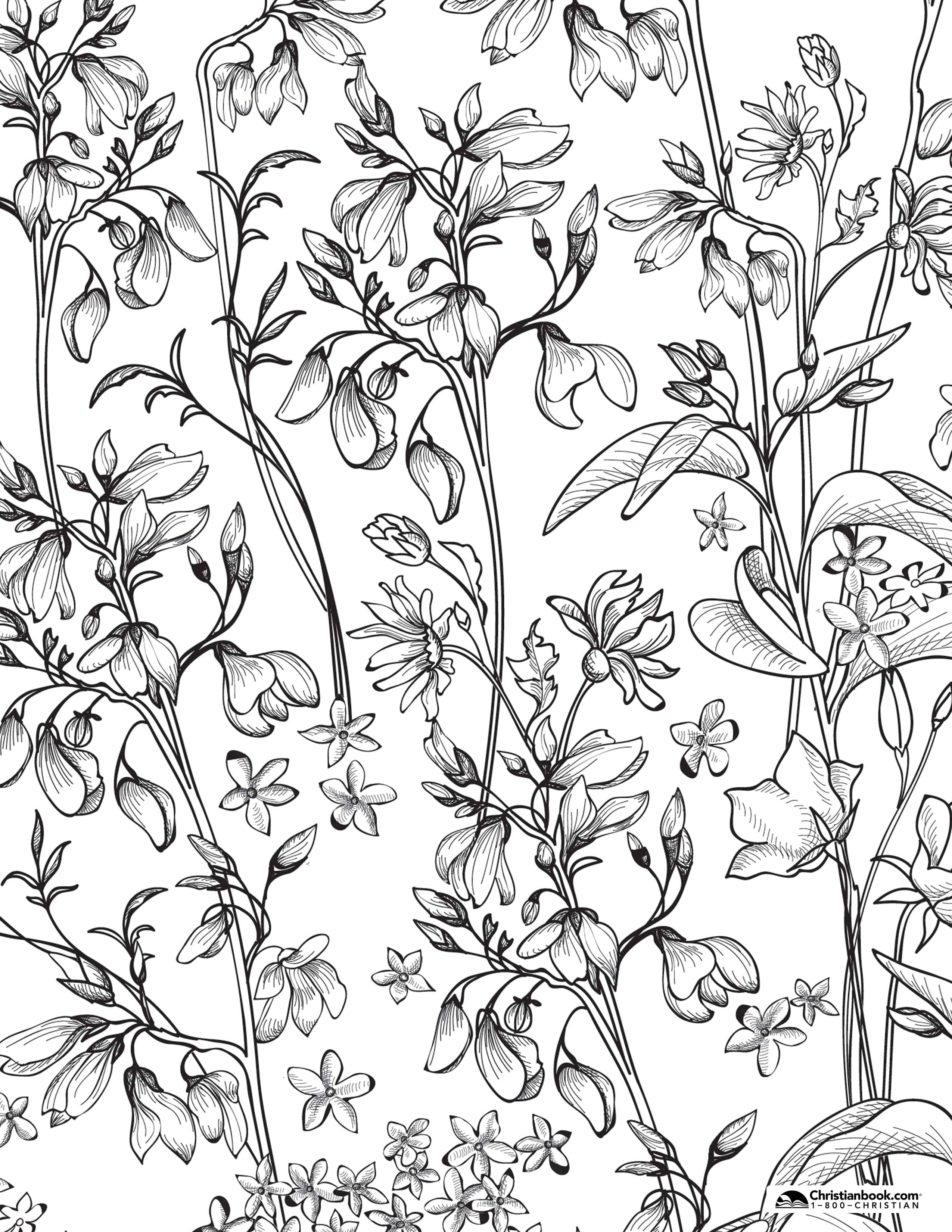 Download Coloring Pages for Spring // Free Downloads ...