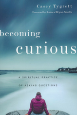 Becoming Curious - summer reads