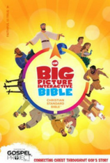 Big Picture Bible - summer reads