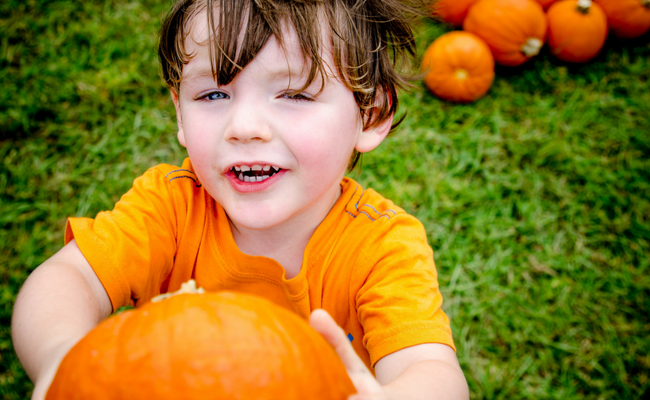 7 Thanksgiving Activities for Homeschoolers