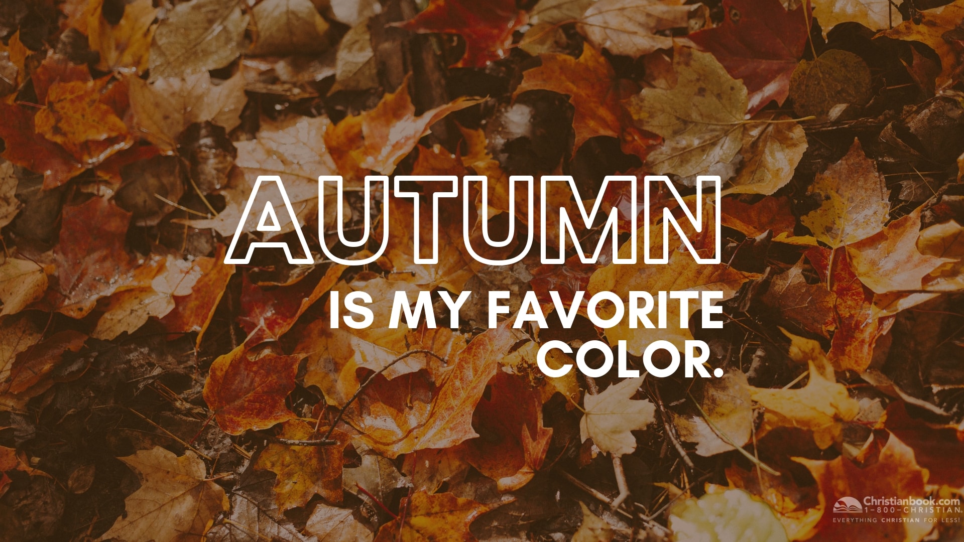 Fall Desktop Wallpaper - autumn is my favorite color